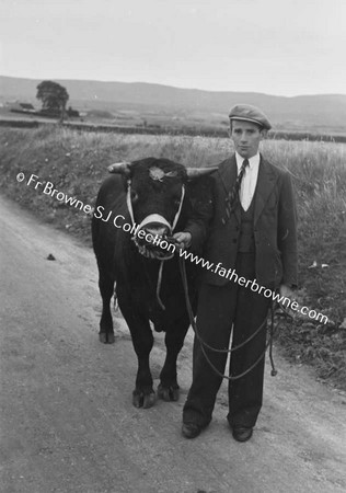 ROAD TO LOUGH TALT PRIZE BULL  P DURKIN  BONNCOULON